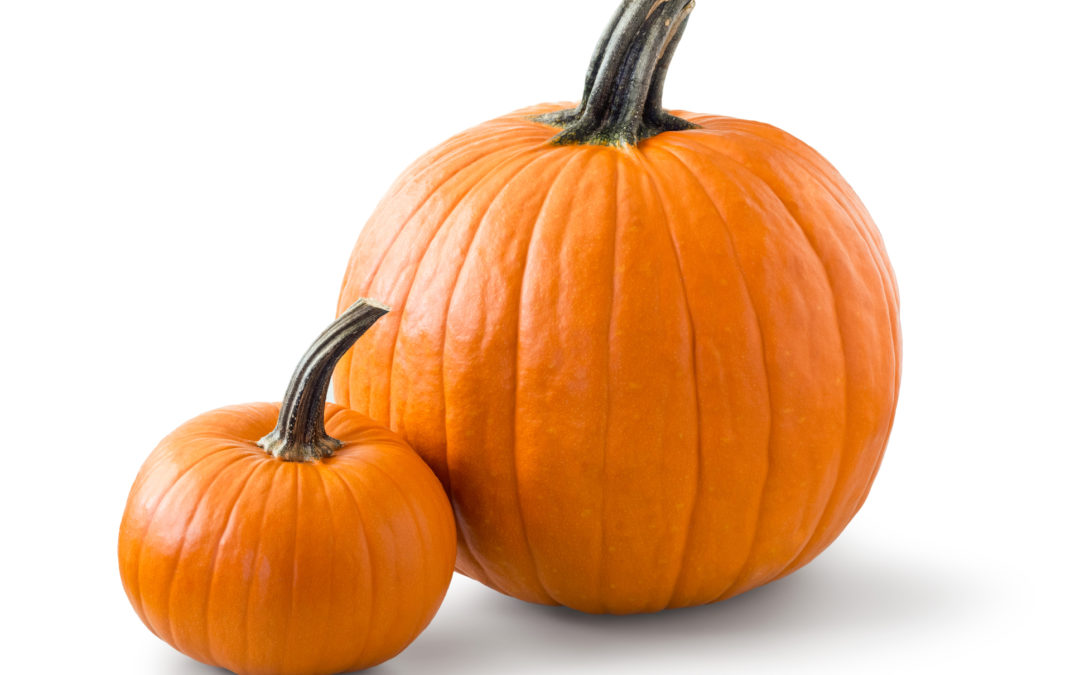 If You Haven’t Read the Pumpkin Plan, Here’s What You’re Missing…