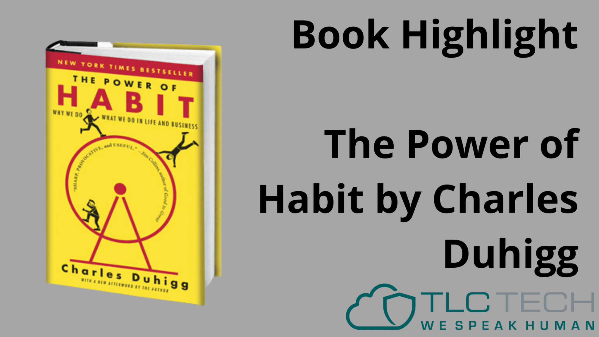 Book Highlight The Power of Habit by Charles Duhigg